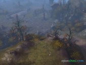 oyun n inceleme - Diablo III Grnt 8