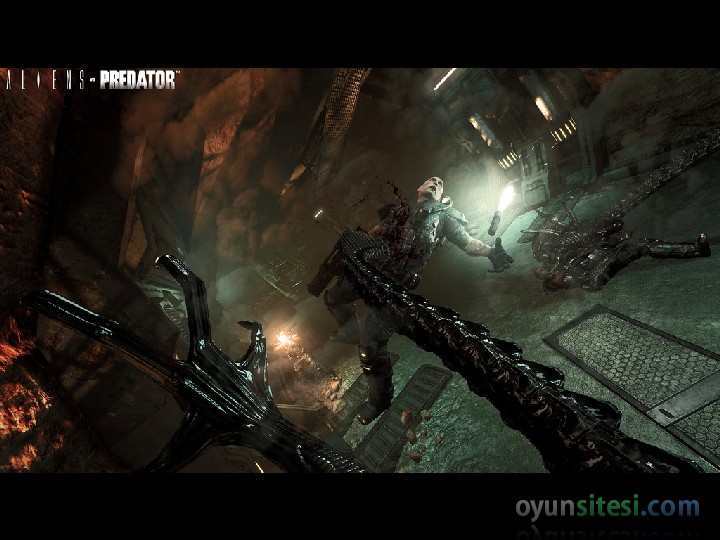 Aliens vs. Predator - G�r�nt� 2